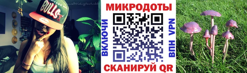 Псилоцибиновые грибы мухоморы купить наркотики сайты Ярцево