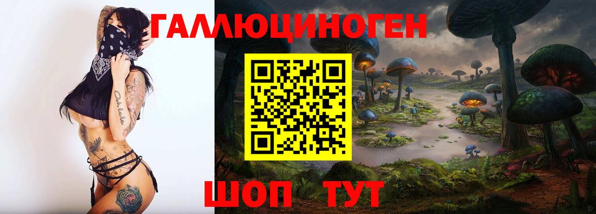 Псилоцибиновые грибы Psilocybe Ярцево