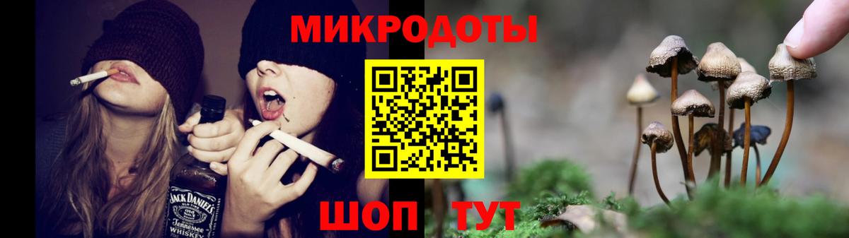 Галлюциногенные грибы Psilocybe  купить  цена  Галлюциногенные грибы ЛСД  Ярцево 